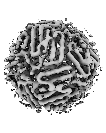 CryoGEN 重构的 apoferritin