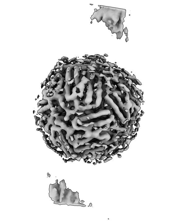 IsoNet 重构的 apoferritin